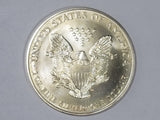 American Silver Eagle Better Date Off Quality (1996) [Lot #2]
